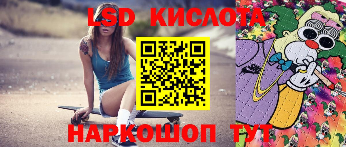 Псилоцибиновые грибы Брянск