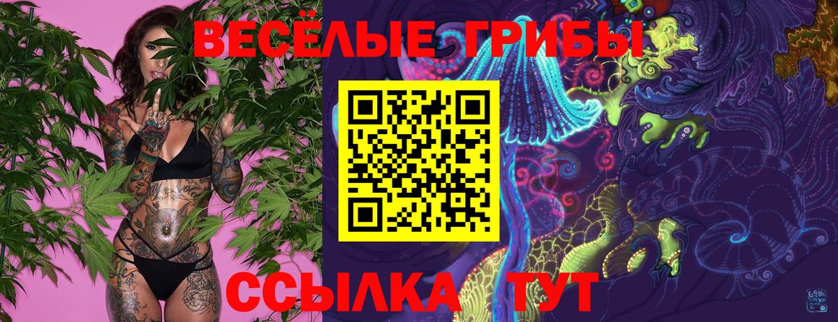 Галлюциногенные грибы ЛСД Брянск