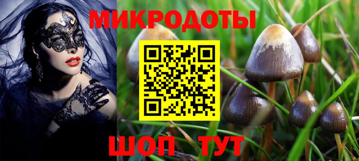 Псилоцибиновые грибы мицелий  Вход с VPN  Брянск 